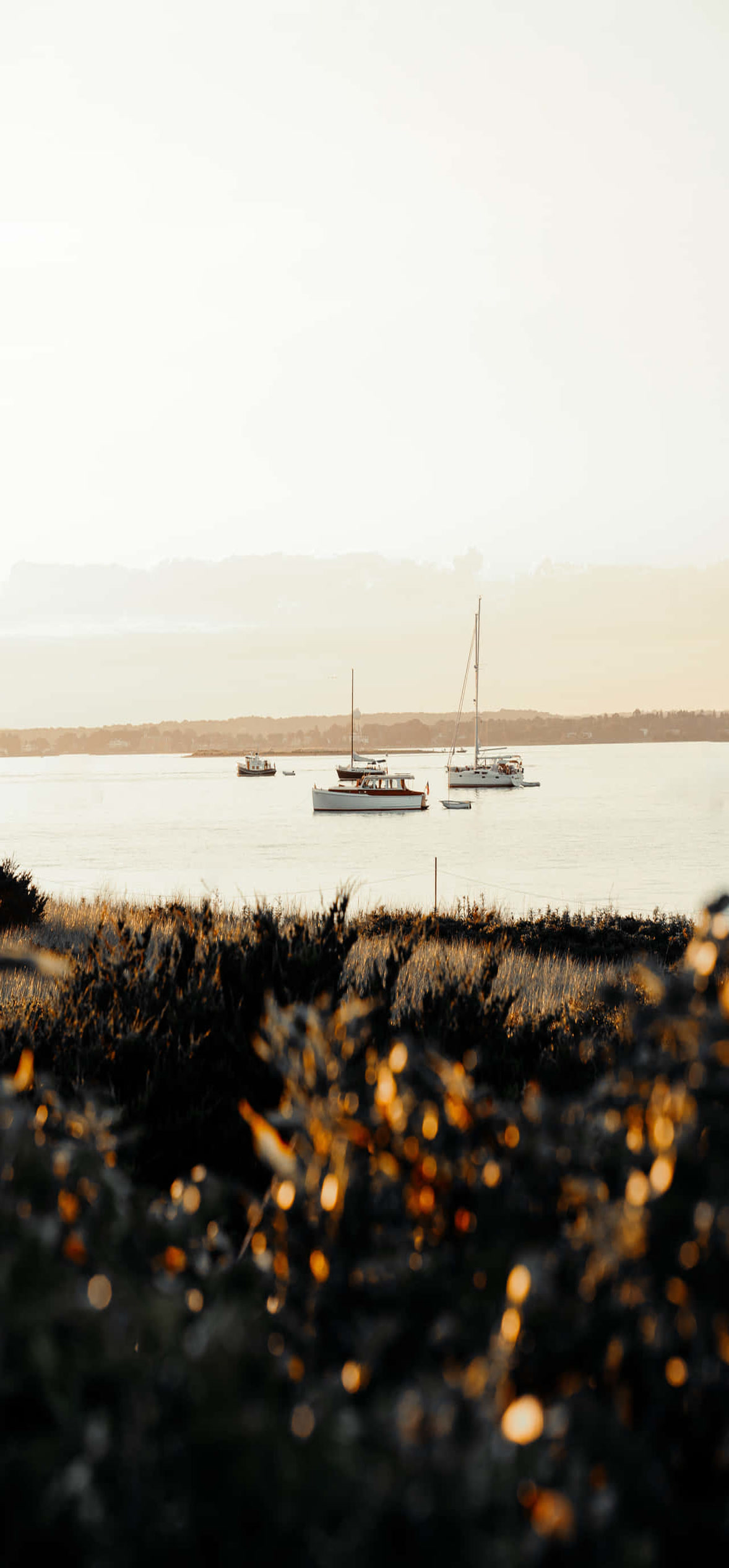 aesthetic nature tumblr