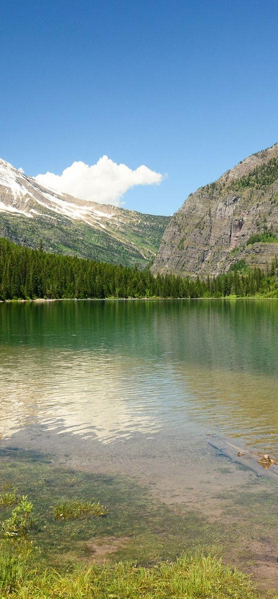 montana green lake