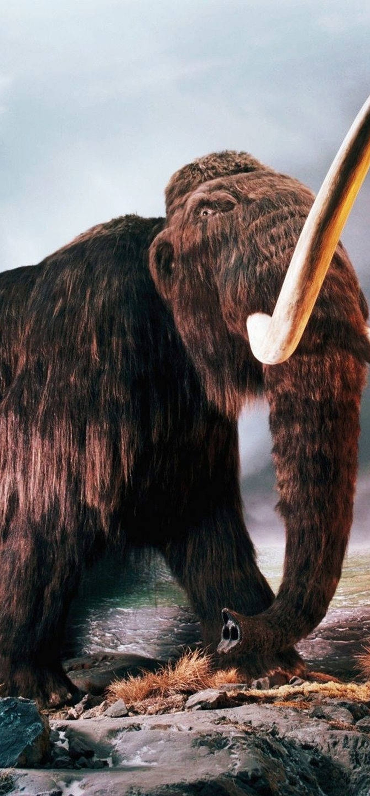 Woolly mammoth standing on rocky terrain under stormy sky