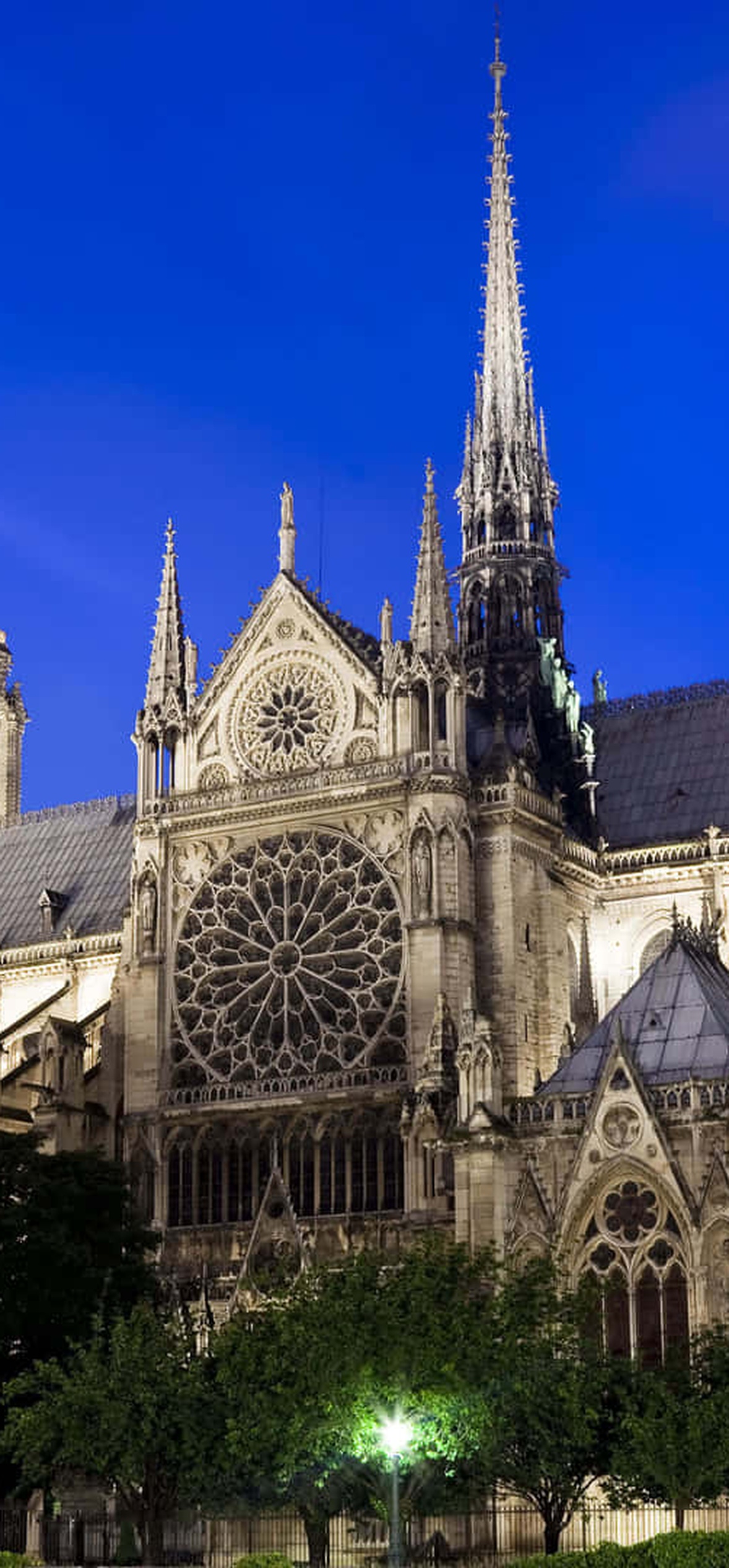 Notre Dame Cathedral lit up at night with trees in foreground.