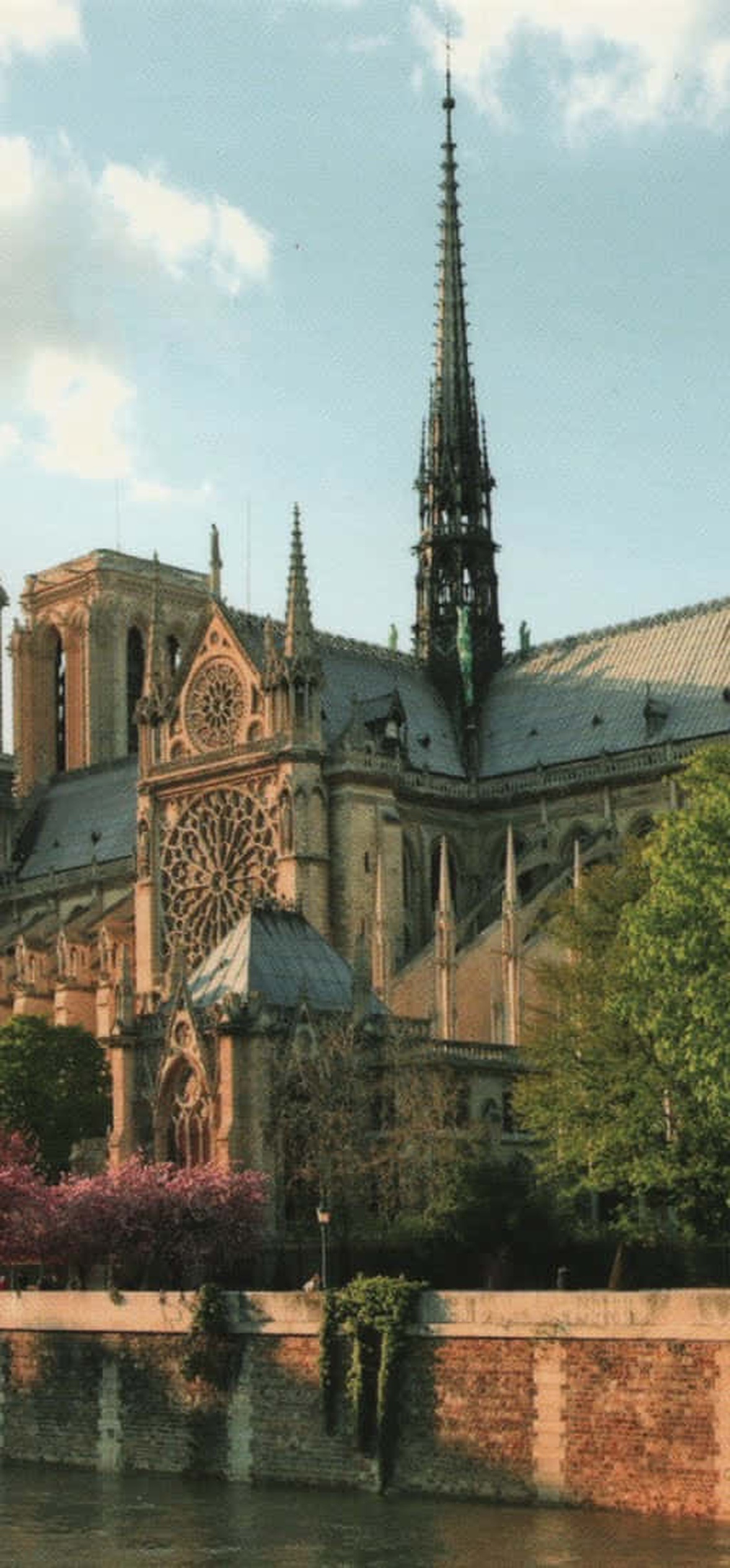 Notre Dame Cathedral beside a river with autumn trees and pink bushes at sunset.