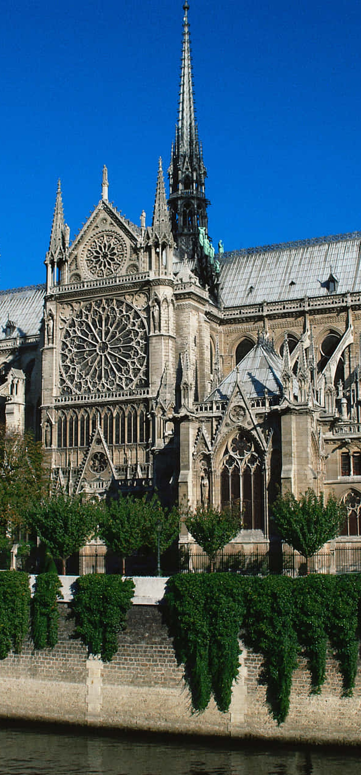 Notre Dame Cathedral in Paris with river and greenery