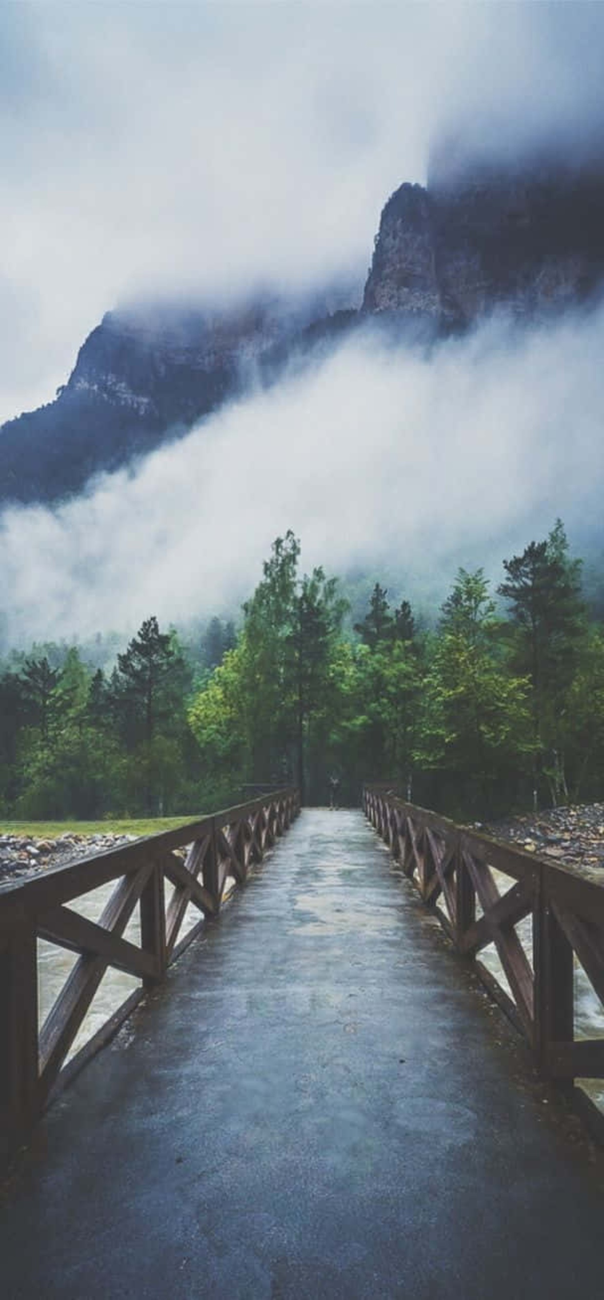 Wooden bridge winding through misty forest toward mountain peaks.