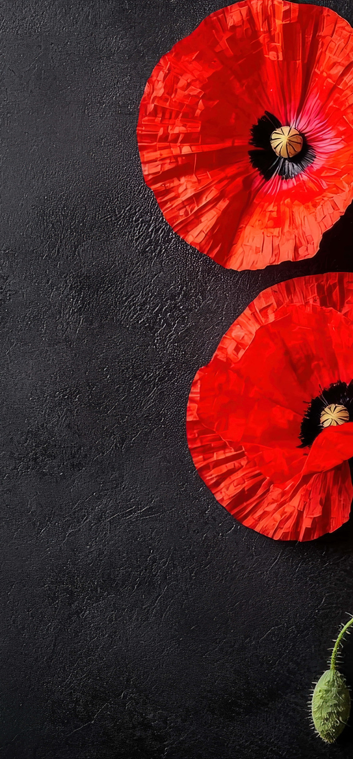 Vibrant red poppies with black centers bloom against a textured dark gray concrete background — Nature Wallpaper
