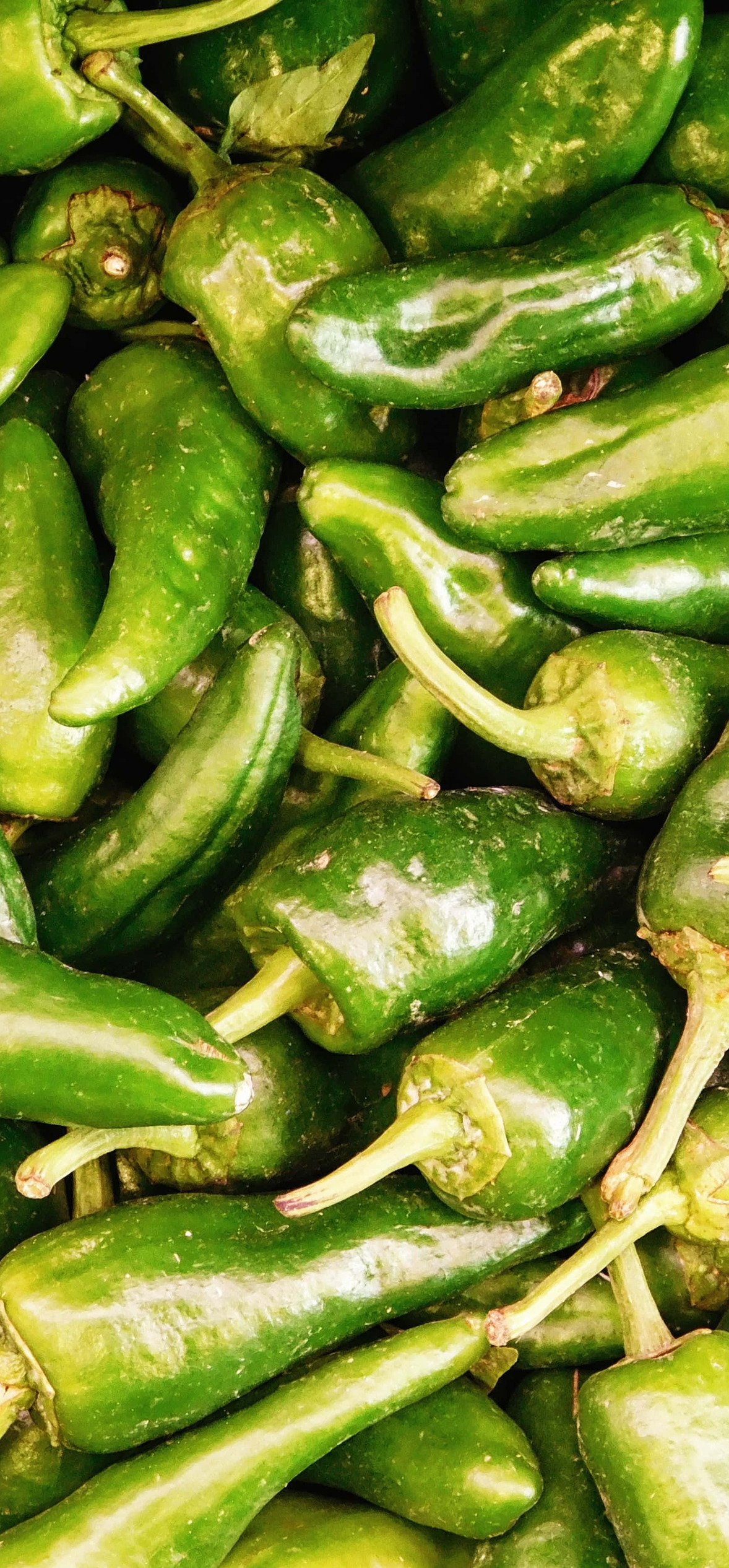 Jalapeno Peppers Texture – Ultra HD iPhone 18 Nature Wallpapers