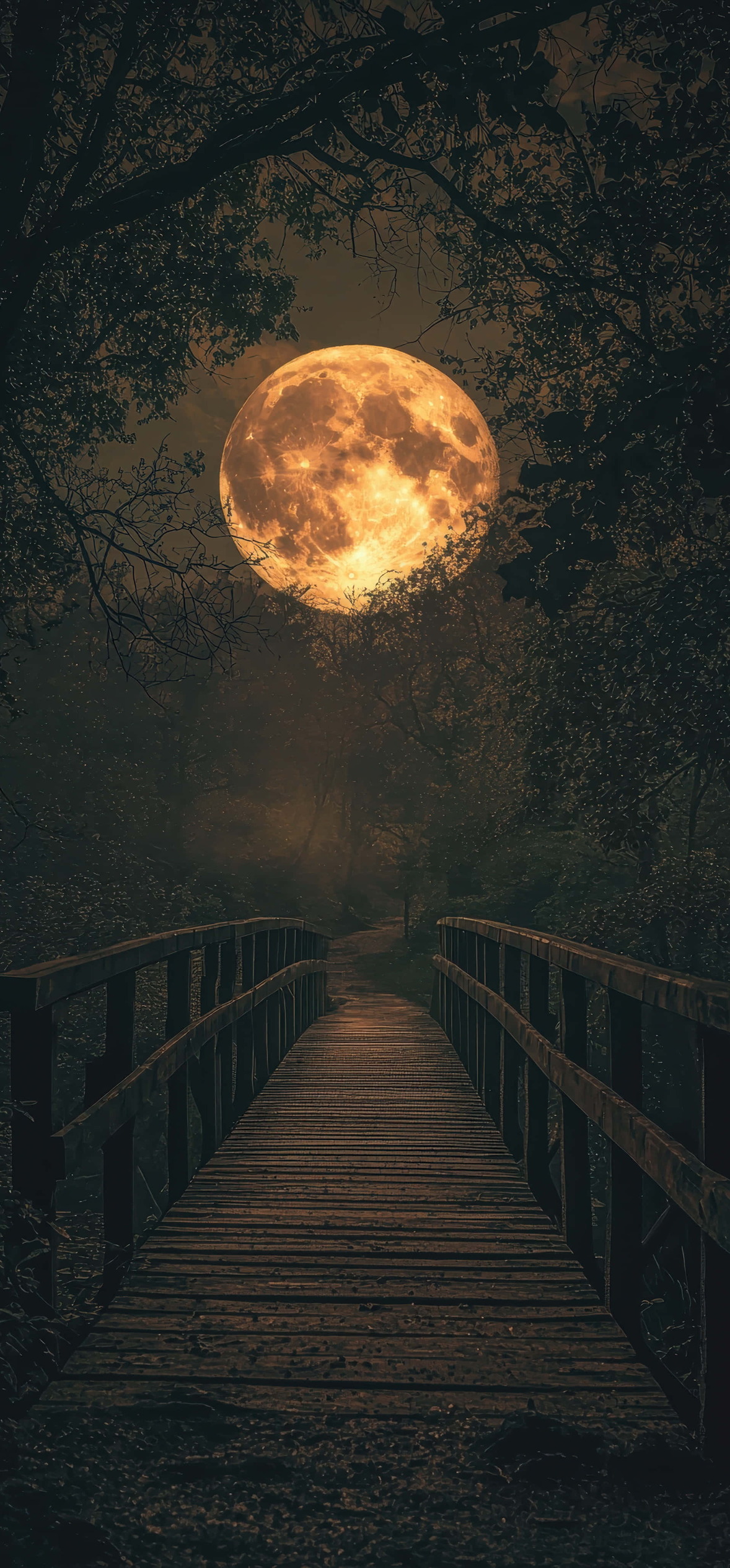 Wooden Bridge In Dark Forest With Full Moon – Ultra HD iPhone 18 Nature Wallpapers
