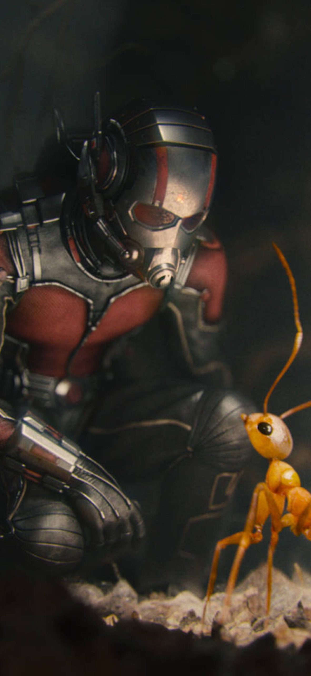 Ant-Man Superhero Wallpaper