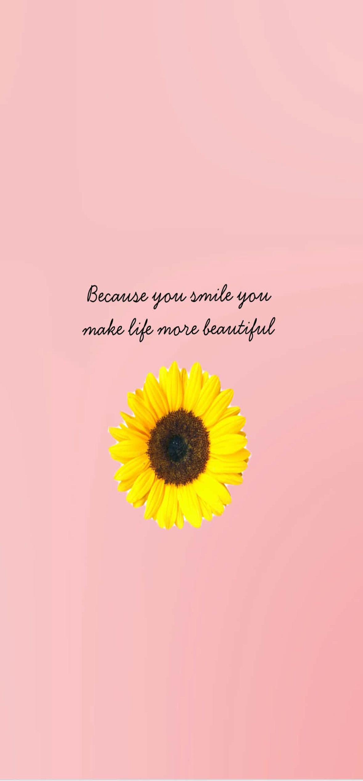 Sunflower Quote Aesthetic – Ultra HD iPhone 18 Nature Wallpapers