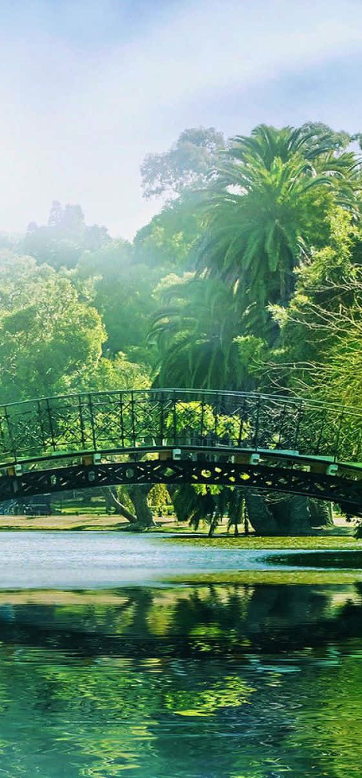 Bridge Lake Beach Scenery – Ultra HD iPhone 18 Nature Wallpapers