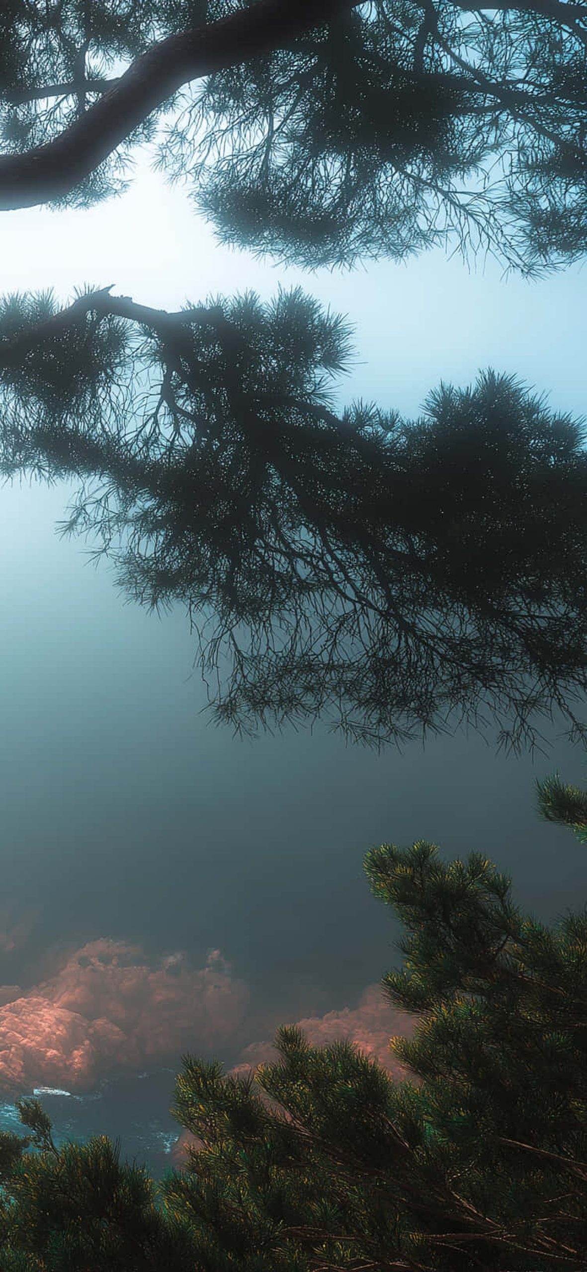 Backpacker Overlooking A Misty Coastal Landscape With Rocks – Ultra HD iPhone 18 Landscape Wallpapers