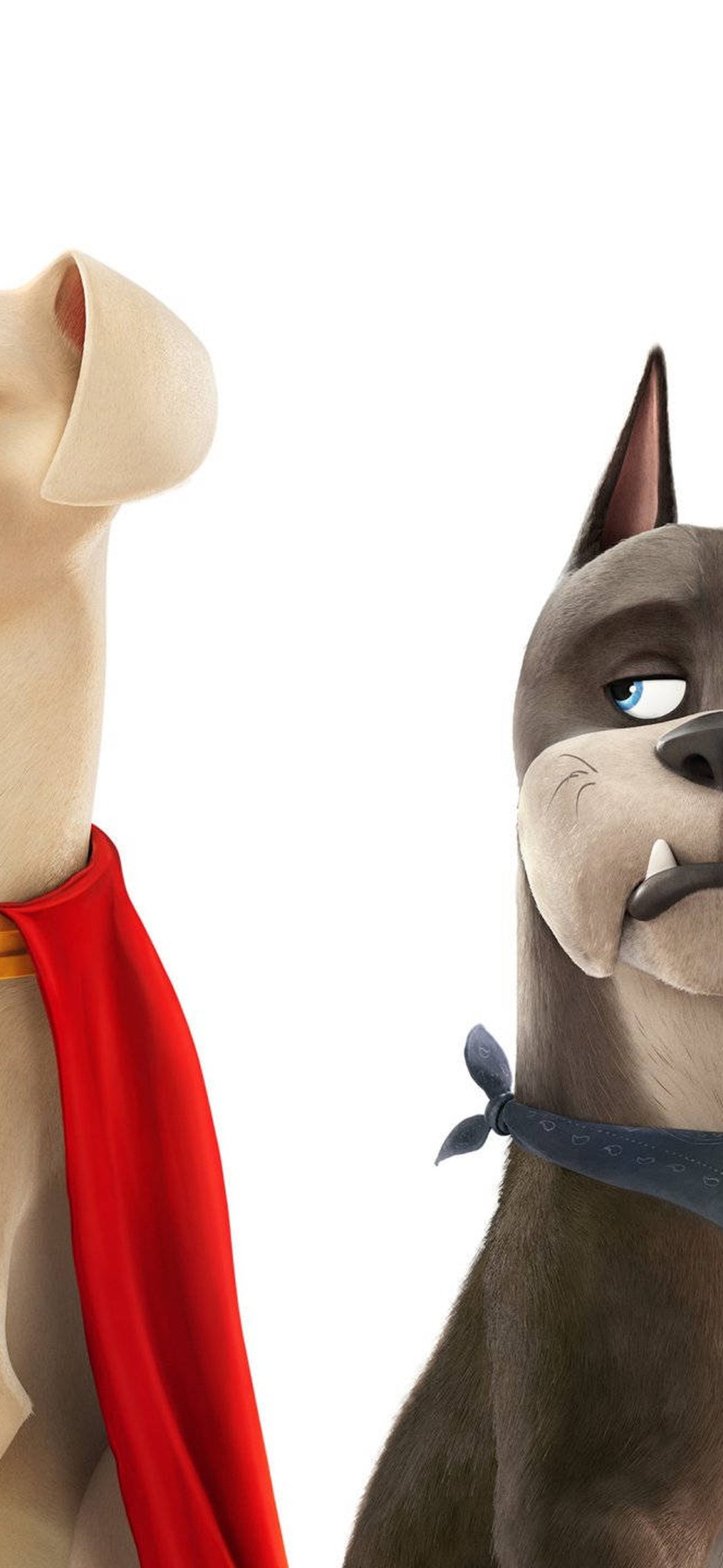 Ace and Krypto, the dynamic duo from Dc League Of Super Pets. – Ultra HD iPhone 18 Superhero Wallpapers