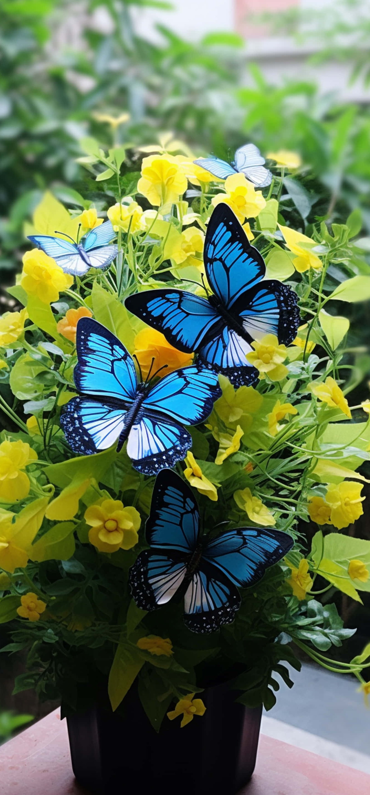 Butterfly And Flowers Nosegay – Ultra HD iPhone 18 Nature Wallpapers