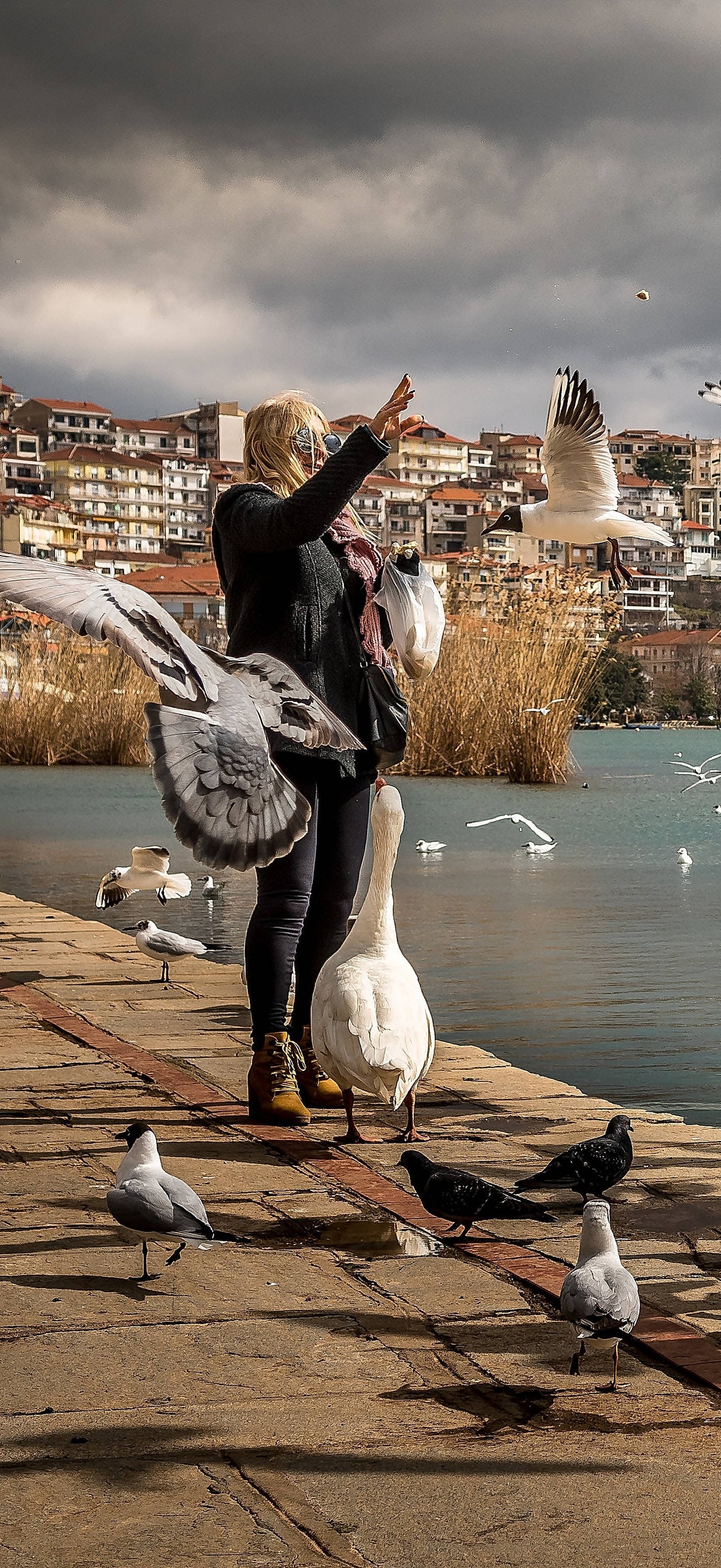 Travel 4K Swan Lake – Ultra HD iPhone 18 Landscape Wallpapers