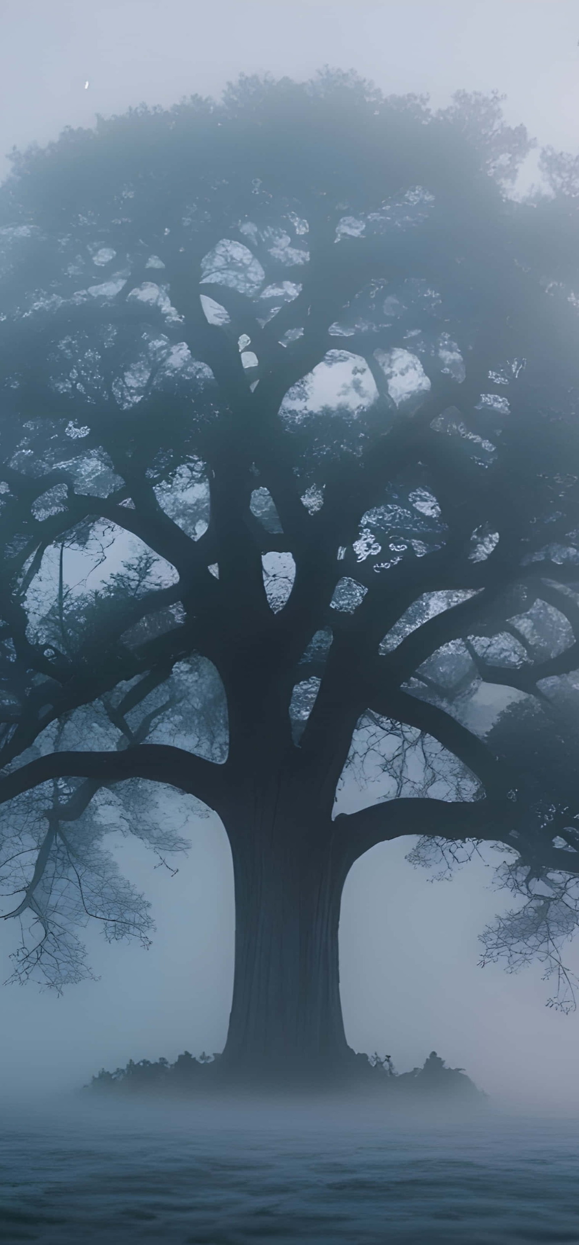 Winter Morning With Tree – Ultra HD iPhone 18 Nature Wallpapers